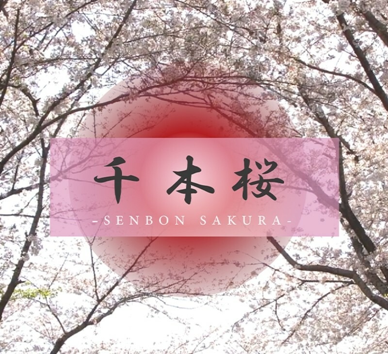 FC2-PPV-4566499 [The angel’s smile reappears] Ran-chan is a stunning beauty with top-class looks and style, simply too b